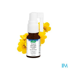 Load image into Gallery viewer, A.vogel Oorpijn Spray 7ml