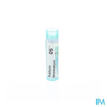 Afbeelding in Gallery-weergave laden, Kalium Bromatum 5ch Gr 4g Boiron