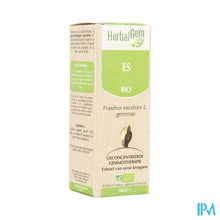 Charger l'image dans la galerie, Herbalgem Es Maceraat 50ml