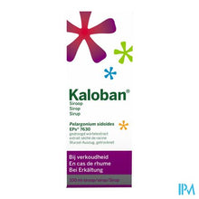 Charger l'image dans la galerie, KALOBAN® SIROOP 100 ML