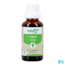 Charger l'image dans la galerie, Herbalgem Olm Bio 30ml