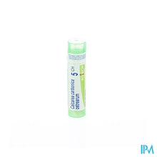 Afbeelding in Gallery-weergave laden, Calcarea Carbonica Ostrearum 5ch Gr 4g Boiron