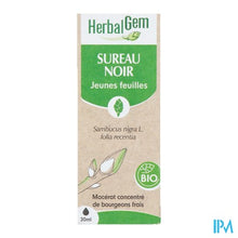 Load image into Gallery viewer, Herbalgem Vlier Bio 30ml