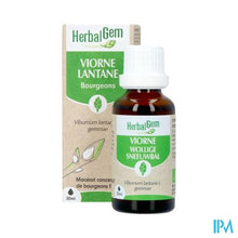 Afbeelding in Gallery-weergave laden, Herbalgem Sneeuwbal Bio 30ml