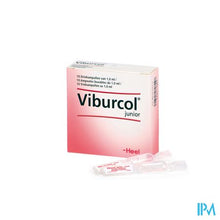 Load image into Gallery viewer, Viburcol Junior Drinkamp 10x1ml Heel