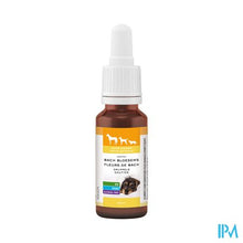 Load image into Gallery viewer, Bachbloesem Dieren Help Druppels 20ml