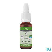 Charger l'image dans la galerie, Bachbloesem Bio N°43 Druppels Motivatie 20ml