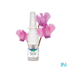 Afbeelding in Gallery-weergave laden, A.vogel Neusspray Sinusitis 50mg