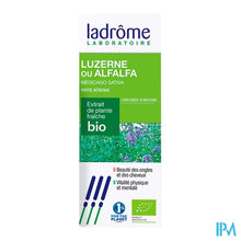 Charger l'image dans la galerie, Ladrome Medicago Sativa/luzerne 50ml