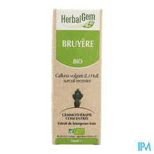 Charger l'image dans la galerie, Herbalgem Struikhei Unitair Moedermaceraat 50ml