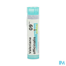 Afbeelding in Gallery-weergave laden, Valeriana Officinalis 9ch Gr 4g Boiron