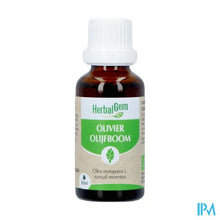Afbeelding in Gallery-weergave laden, Herbalgem Olijfboom Bio 30ml