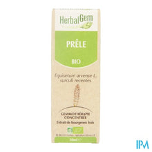Charger l'image dans la galerie, Herbalgem Heermoes Maceraat 50ml