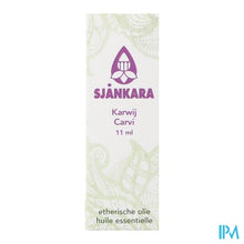 Load image into Gallery viewer, Sjankara Karwij Ess. Olie 11ml