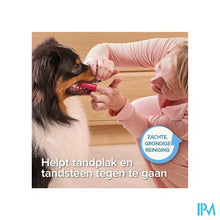 Afbeelding in Gallery-weergave laden, Beaphar Vingertandenborstel 2
