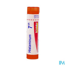 Afbeelding in Gallery-weergave laden, Histaminum 7ch Gr 4g Boiron
