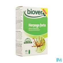 Afbeelding in Gallery-weergave laden, All Day Harpago Forte Comp 45