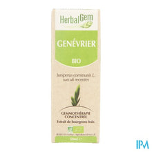 Charger l'image dans la galerie, Herbalgem Jeneverbes Maceraat 50ml