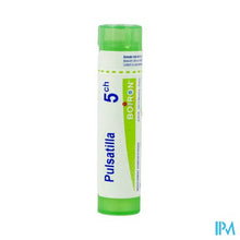 Afbeelding in Gallery-weergave laden, Pulsatilla 5ch Gr 4g Boiron
