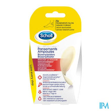 Charger l'image dans la galerie, Scholl Blarenpleister Grote Hielpleist. Z/latex 5