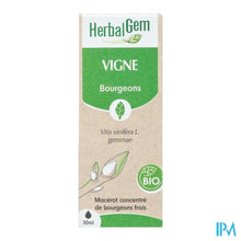 Afbeelding in Gallery-weergave laden, Herbalgem Wijnstok Maceraat Bio 30ml