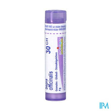 Afbeelding in Gallery-weergave laden, Sepia Officinalis 30ch Gr 4g Boiron