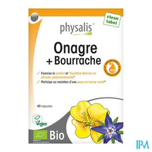 Load image into Gallery viewer, Physalis Teunisbloem+bernagie Caps 40