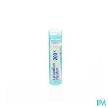 Load image into Gallery viewer, Lycopodium Clavatum 200k Gr 4g Boiron