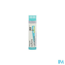 Afbeelding in Gallery-weergave laden, Hepar Sulfuris Calcareum 30ch Gr 4g Boiron