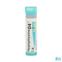 Afbeelding in Gallery-weergave laden, Hypophysine l.a. 4ch Gr 4g Boiron