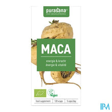 Afbeelding in Gallery-weergave laden, Purasana Vegan Maca 300mg Bio V-caps 120