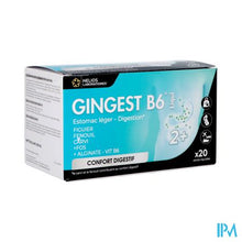 Load image into Gallery viewer, Gingest B6 Liqui Sticks 20x15ml