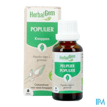 Afbeelding in Gallery-weergave laden, Herbalgem Populier Bio 30ml