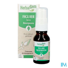 Charger l'image dans la galerie, Herbalgem Vijgenboom Bio Spray 15ml