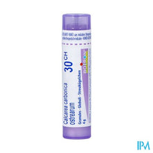 Afbeelding in Gallery-weergave laden, Calcarea Carbonica Ostrearum 30ch Gr 4g Boiron