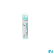 Load image into Gallery viewer, Nux Vomica 30ch Gr 4g Boiron