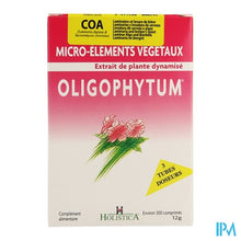 Charger l'image dans la galerie, Oligophytum Cu-au-ag Tbe Microcomp 3x100 Holistica
