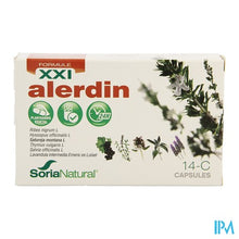 Afbeelding in Gallery-weergave laden, Soria 14-c Allerdin Xxi Caps 30