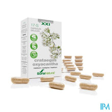 Charger l'image dans la galerie, Soria 17-s Crataegus Oxyacantha Xxi Caps 30