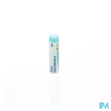 Afbeelding in Gallery-weergave laden, Rhus Toxicodendron Mk Gl Boiron