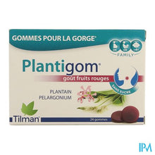 Charger l'image dans la galerie, Plantigom Keelgommetjes 24