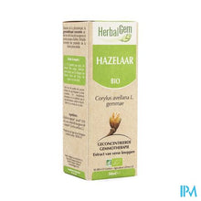 Charger l'image dans la galerie, Herbalgem Hazelaar Maceraat 50ml
