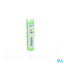 Afbeelding in Gallery-weergave laden, Drosera 5ch Gr 4g Boiron