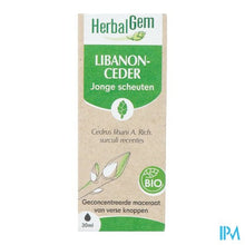 Afbeelding in Gallery-weergave laden, Herbalgem Ceder Bio 30ml