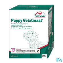 Afbeelding in Gallery-weergave laden, Primeval Puppy Artrose Gelatinaat 350g