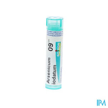 Afbeelding in Gallery-weergave laden, Arsenicum Iodatum 9ch Gr 4g Boiron