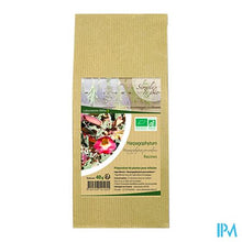 Charger l'image dans la galerie, Altho Simples & Bio Tisane Harpagophytum 40g