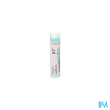 Afbeelding in Gallery-weergave laden, Hepar Sulfuris Calcareum 7ch Gr 4g Boiron