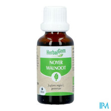 Afbeelding in Gallery-weergave laden, Herbalgem Walnoot Bio 30ml