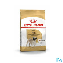 Load image into Gallery viewer, Royal Canin Bhn Canine Pug 1,5kg